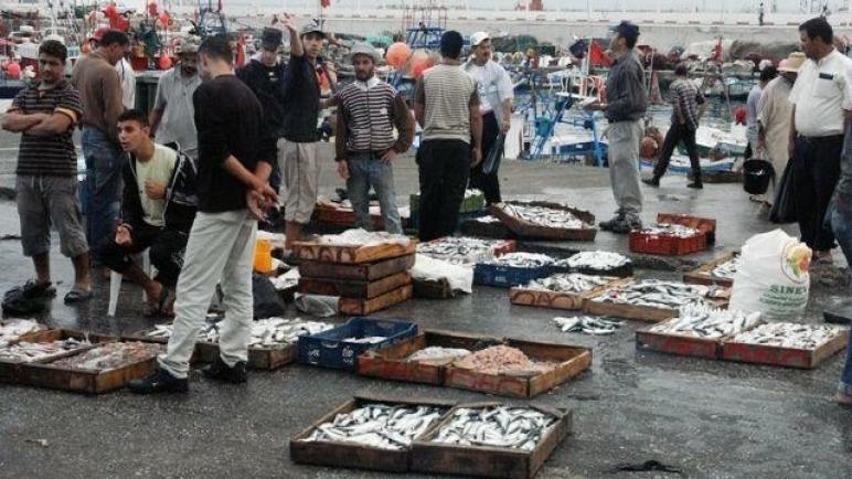 الجمعية المهنية لتجار السمك بالجملة بميناء الداخلةتصدر بيان استنكاري