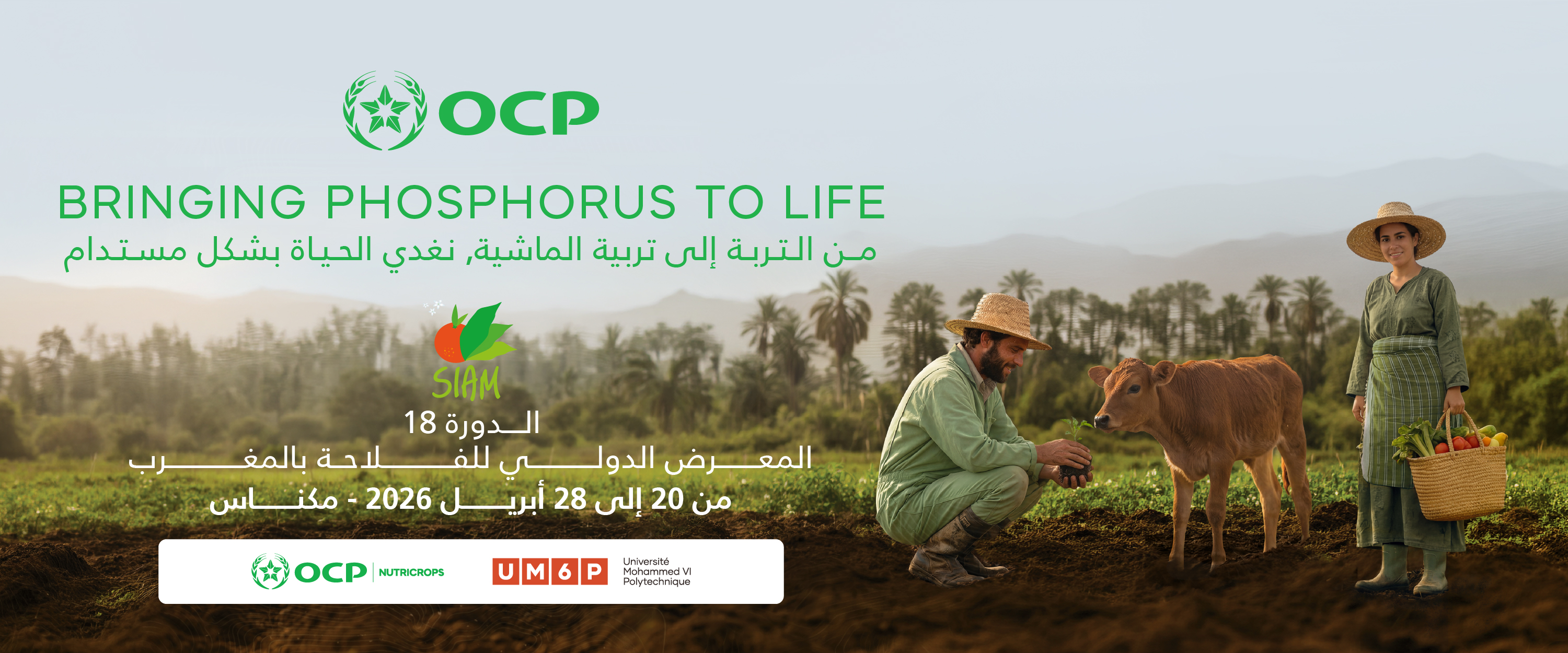 اعلان الترويسة