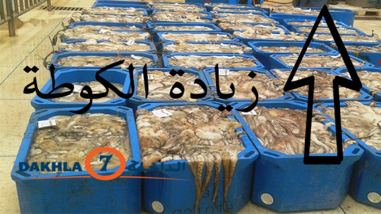 أنباء عن زيادة مرتقبة في حصة صيد الاخطبوط