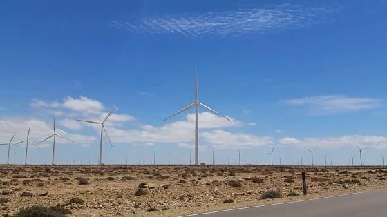 شركة (سيمنز غاميسا) الإسبانية ستقوم بتركيب 87 من (التوربينات) في مزرعة الرياح ببوجدور