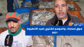 سوق لاساركا.. والموسم الشتوي لصيد الأخطبوط 2021