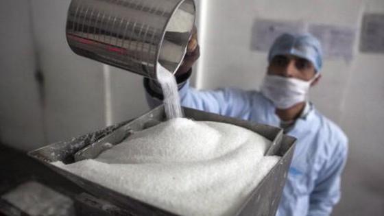 المغرب يعلن عن بدء إنتاج السكر في السعودية