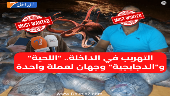 “اللحية” و”الدجايجية” وجهان لعملة واحدة.. رأي الداخلة7 حول التهريب