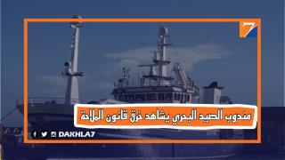 مركب يخرق قانون الملاحة و مندوب الصيد البحري بالداخلة لايحرك ساكن