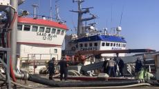 المنسقية الجهوية للرابطة الوطنية للصيد البحري تدين الزج القسري للبحار في عملية التفريغ