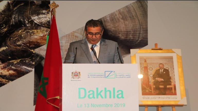 عزيز اخنوش يفتتح منتدى شركات تربية الأحياء البحرية بالداخلة