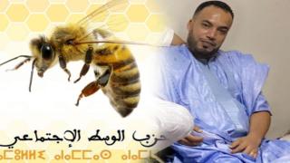 الشاب “حمدي مشنان” مرشح حزب “النحلة” بالغرفة الفلاحية