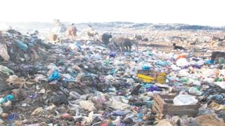 فوضى عارمة بسوق المواشي بالداخلة تدفع الكسابة للإحتجاج