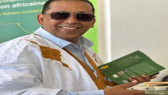 فاعل صحراوي: الجهوية المتقدمة من مشروع مجتمعي إلى صراع نخب وتوريث عائلي