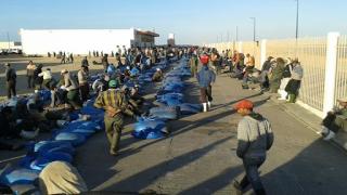 وزارة الصيد تفرج عن كمية “الكوطة” المسموح بصيدها من الأخطبوط