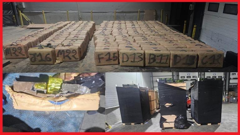 إجهاض محاولة تهريب أكثر من سبعة أطنان من مخدر الشيرا على متن شاحنة للنقل الدولي للبضائع