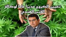 تعيين محمد الكروج مديا عاما للوكالة الوطنية لتقنين الأنشطة المتعلقة بالقنب الهندي