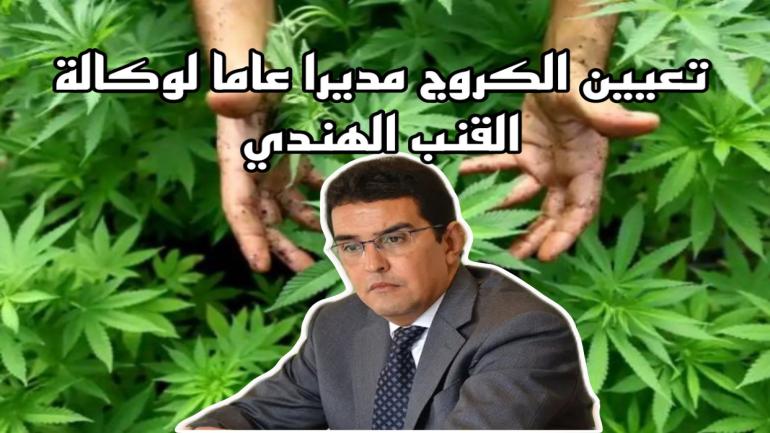 تعيين محمد الكروج مديا عاما للوكالة الوطنية لتقنين الأنشطة المتعلقة بالقنب الهندي