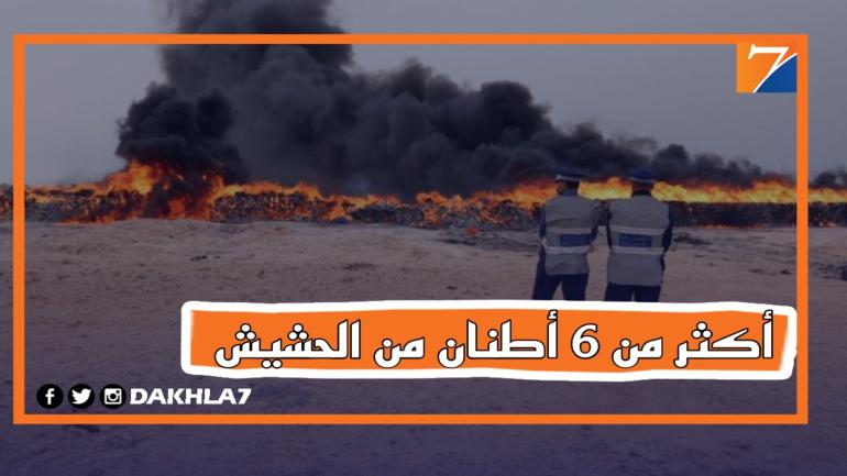 “حشيش”.. إتلاف مايزيد عن 6 أطنان من مخدر الشيرا بالداخلة.