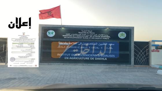 معهد التقنيين المتخصصين في الفلاحة بالداخلة يعلن عن فتح باب التسجيل للراغبين في التكوين في الميدان الفلاحي+إعلان