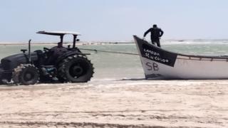 دون الحسم في ملف القوارب المعيشية.. وزارة الصيد البحري تخلص الى إطلاق موسم صيد الأخطبوط في هذا التاريخ