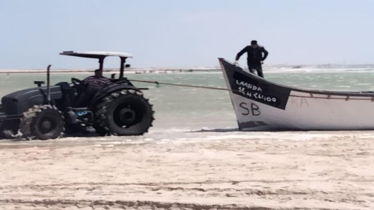 دون الحسم في ملف القوارب المعيشية.. وزارة الصيد البحري تخلص الى إطلاق موسم صيد الأخطبوط في هذا التاريخ