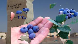 {"source_sid":"23CC5138-6928-4266-8E98-1135BFB2E11E_1624371590241","subsource":"done_button","uid":"23CC5138-6928-4266-8E98-1135BFB2E11E_1624371590217","source":"other","origin":"gallery"}