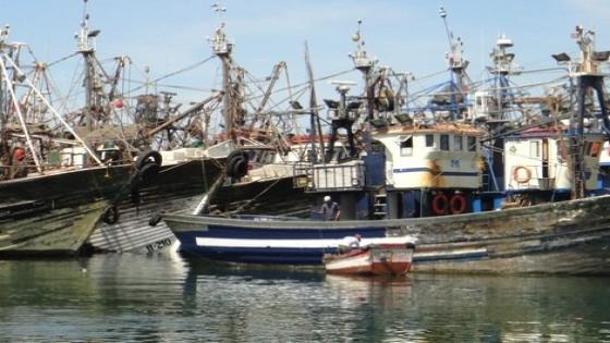 قرار/ منع أنشطة الصيد الخاصة بالأسماك السطحية الصغيرة بالمصيدة الأطلسية الجنوبية