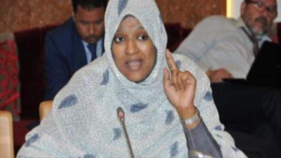 انتخاب عزوها العراك ضمن الهيكلة الجديدة للجنة البرلمانية المشتركة مع الاتحاد الأوروبي