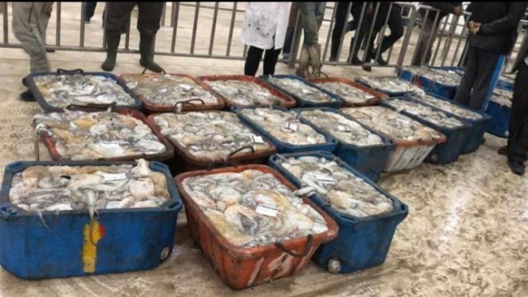 تراجع حاد للأسعار في الأيام الأولى  من الموسم الشتوي لصيد الأخطبوط بمختلف قرى الصيد بجهة الداخلة