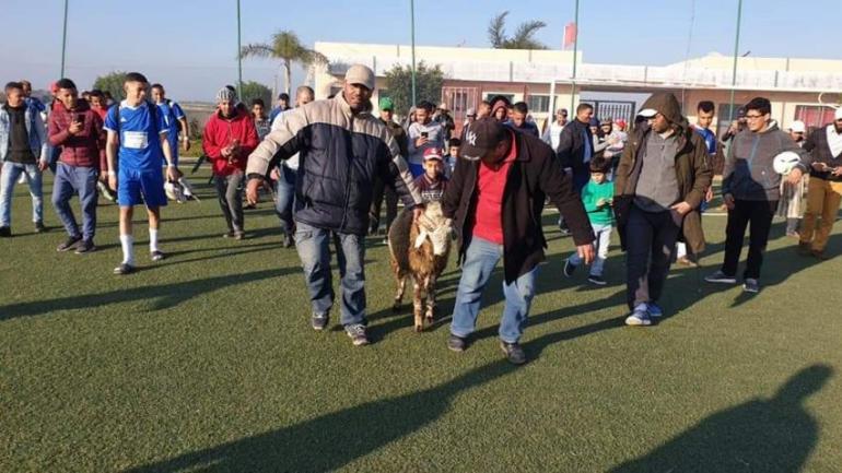 غريب.. فريق مغربي يذبح خروفا في الملعب بعد تحقيقه الفوز