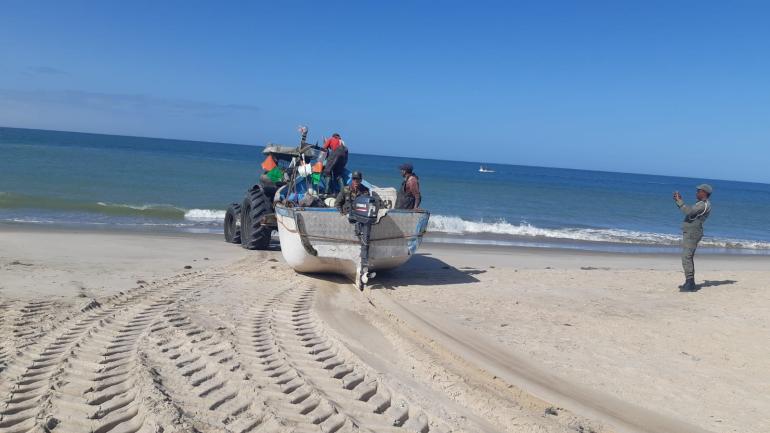 إدارة الصيد تحسم موعد إستئناف صيد الأخطبوط