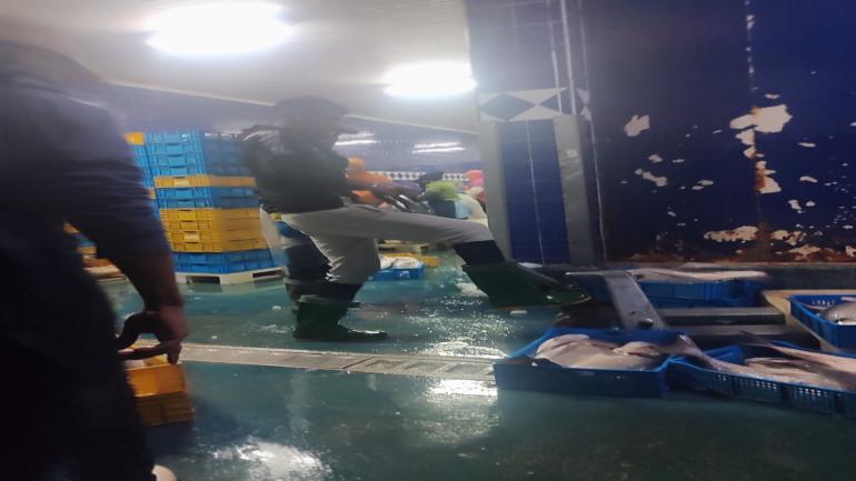 ارتفاع الكميات المفرغة من منتجات الصيد الساحلي والتقليدي بـ36 في المائة عند متم غشت بميناء العيون