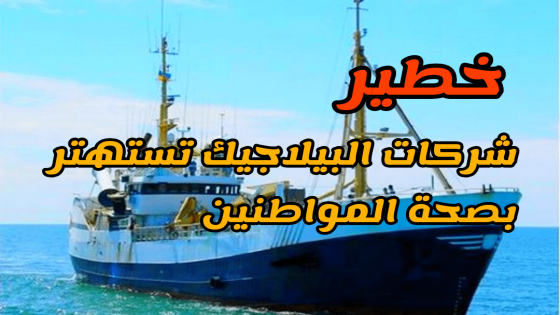 شركات البيلاجيك تستهتر بصحة المواطنين بالداخلة بتنسيق مع السلطات… و بحارة مدينة الداخلة ينددون بكارثة قادمة