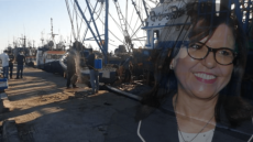 خرق حالة الطوارئ الصحية!!!سردين الداخلة يعلفو بيه طون في الشمال.. و المواطنين تاكلهم كورونا.