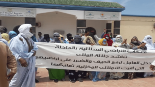 ملاك “لكراير” بالداخلة يصرخون في وجه لمين بن عمر