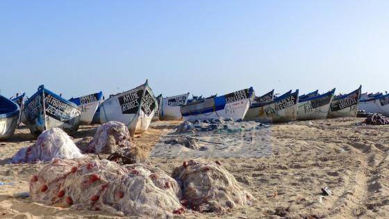 الـداخلة.. مندوبية الصيد البحري تمنع قوارب الصيد التقليدية من الإبحار