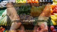 السلطات المحلية توقيف بيع خضروات بالداخلة