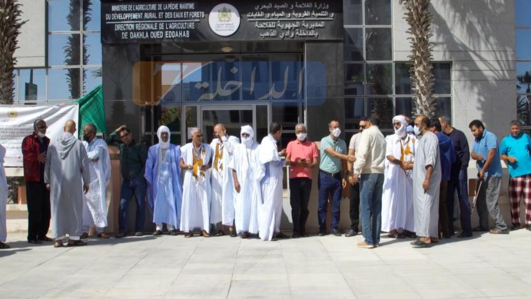 كسابة الداخلة كعاو ودارو وقفة إحتجاجية بسبب توافد مئات شاحنات نقل المواشي على الجهة