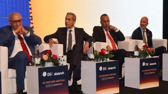 تسريع الانتقال الطاقي محور الاجتماع الـ27 لشركاء شبكة “دي آي ديزيرت إنرجي” بالداخلة