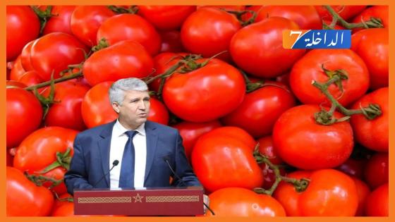 تزويد السوق الوطنية بالطماطم يجر وزير الفلاحة للمساءلة