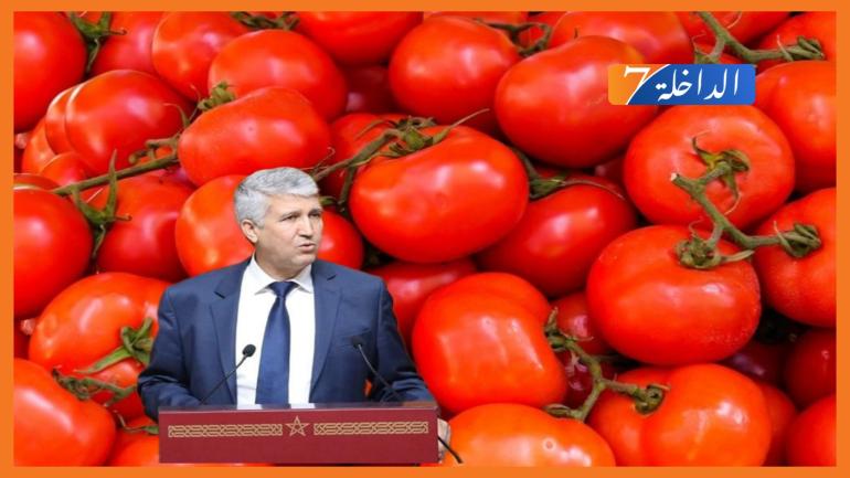 تزويد السوق الوطنية بالطماطم يجر وزير الفلاحة للمساءلة