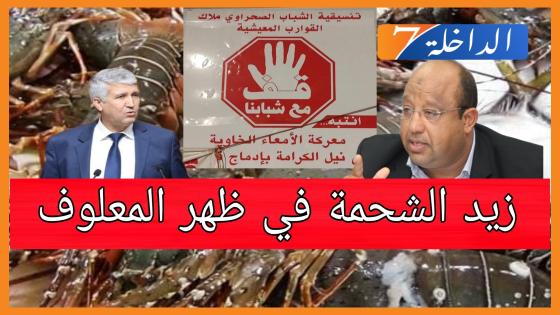 رخص “جراد البحر”: اقتصاد ريع يكرس مثل “زيد الشحمة في ظهر المعلوف”