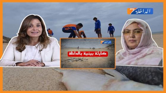 النائبة البرلمانية ”خديجة بوكرن” تطالب وزيرة الإنتقال الطاقي والتنمية المستدامة بتفسير لظاهرة نفوق الأسماك بخليج وادي