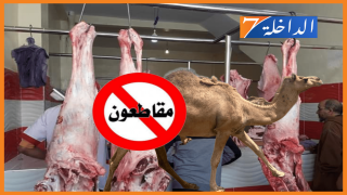 بسبب الزيادات الصاروخية في أسعار بيع لحوم الإبل.. نشطاء يطلقون حملة للمقاطعة