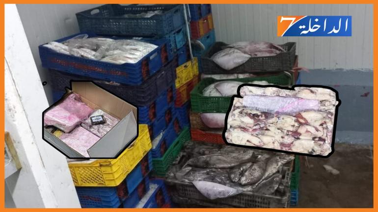 أثمنة شراء أصحاب المستودعات السرية للمنتوجات البحرية تضع علامات إستفهام كبرى!!!