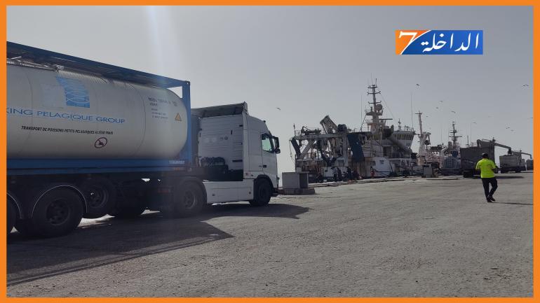 انخفاض مفرغات الصيد الساحلي والتقليدي بميناء الداخلة