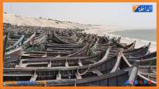 المكتب الوطني للصيد يؤكد وجود تحسن في مفرغات ومداخيل الصيد ب”لمهيريز”