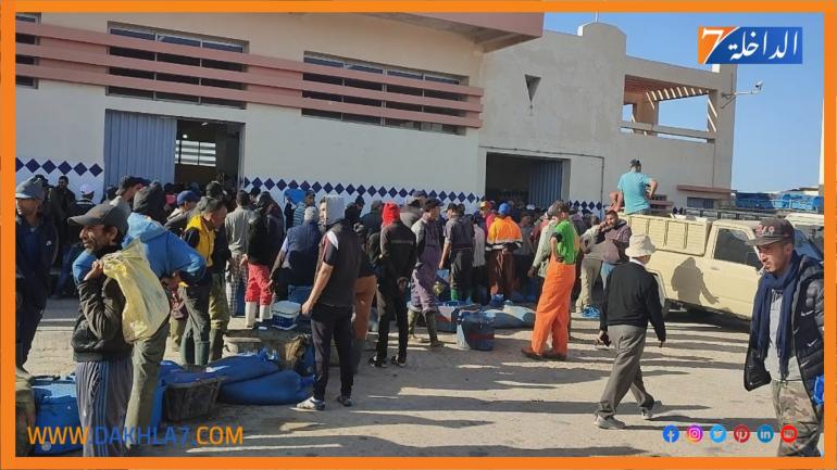 نتيجة لإستمرار سوء الاحوال الجوية.. مندوبية الصيد البحري بالداخلة تمدد قرار منع الإبحار