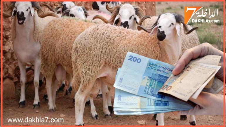 المعارضة تطلق مبادرة لتشكيل لجنة تقصي حقيقة دعم استيراد الأغنام