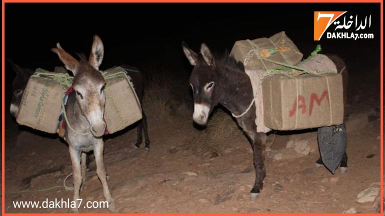 وحدات تابعة للقوات المسلحة الملكية تجهض محاولة تهري.ب للمخدرات