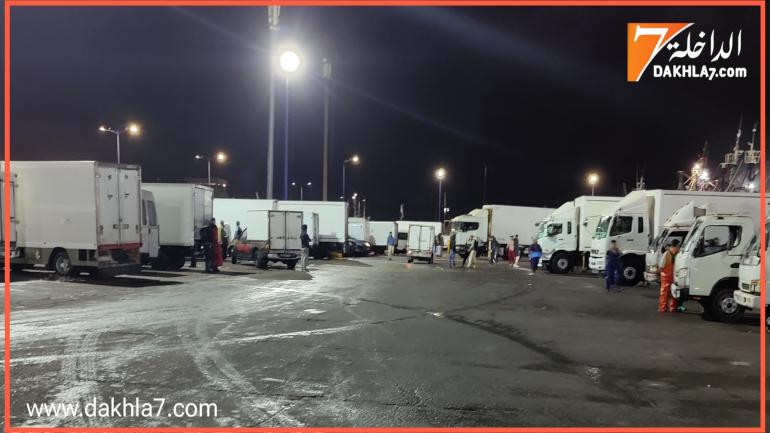 بقيمة أكثر من مليار درهم.. مفرغات الصيد الساحلي والتقليدي ترتفع بميناء الداخلة