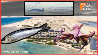 ترقبو حلقات ولقاءات خاصة مع مدير وأطر المركز الجهوي للمعهد الوطني للبحث في الصيد البحري- الداخلة