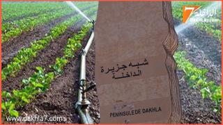 تنسيقية شباب جهة الداخلة تدين الإقصاء من مشروع سقي 5000 هكتار وتعتبره ظلم وإجراء باطل من وكالة التنمية الفلاحية