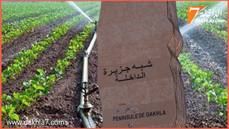 تنسيقية شباب جهة الداخلة تدين الإقصاء من مشروع سقي 5000 هكتار وتعتبره ظلم وإجراء باطل من وكالة التنمية الفلاحية